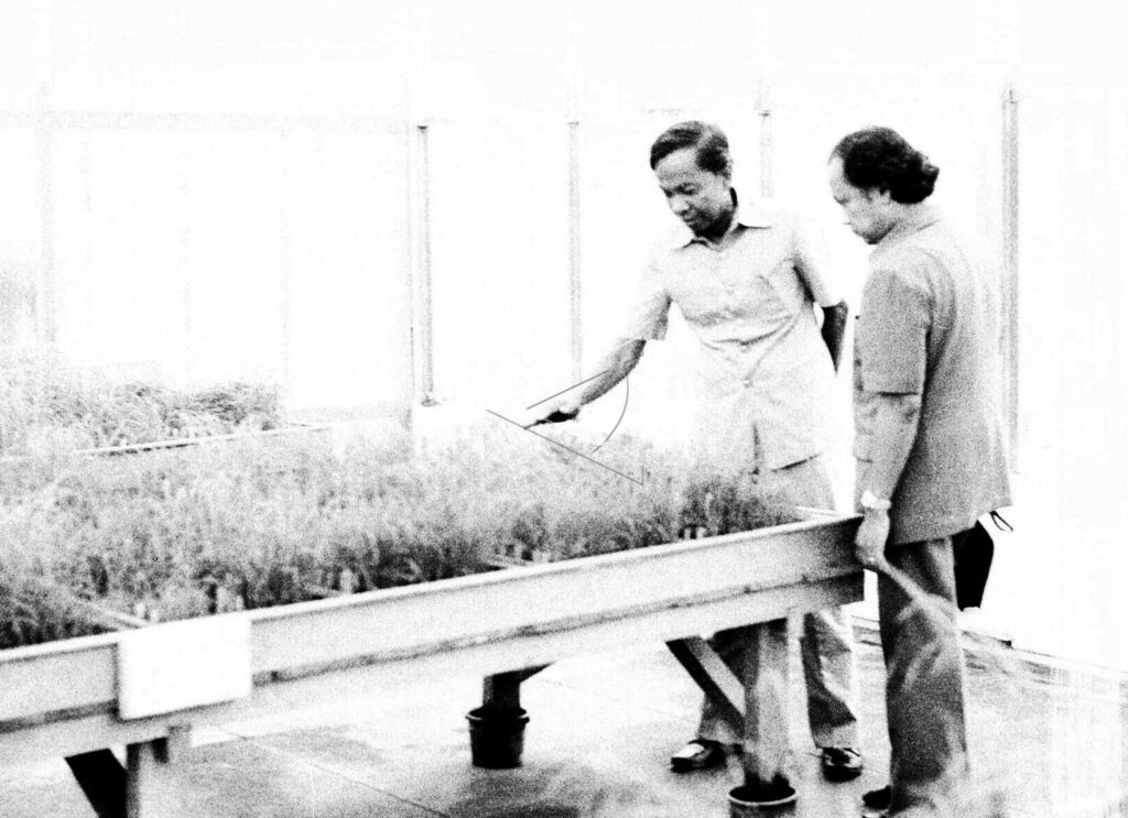 Minister of Research and Technology Inspects The Research on Planthoppers Pest