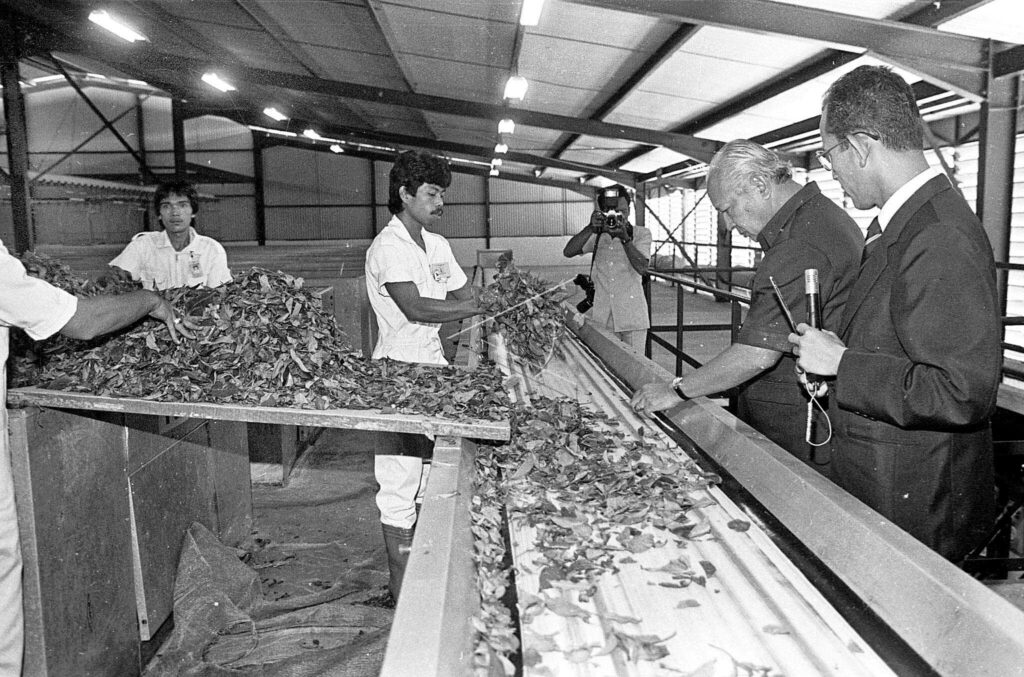 PRESIDENT SOEHARTO OBSERVED THE BLACK TEA IN TASIKMALAYA