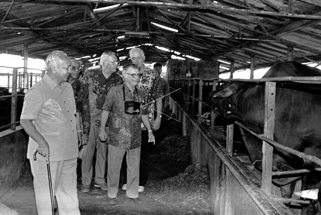 PRESIDENT REVIEWS DAILY CATTLE