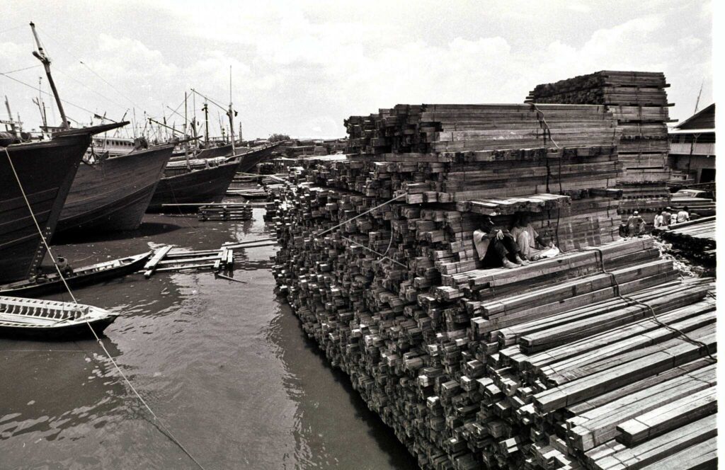 PROCESSED WOOD WITHOUT DOCUMENT