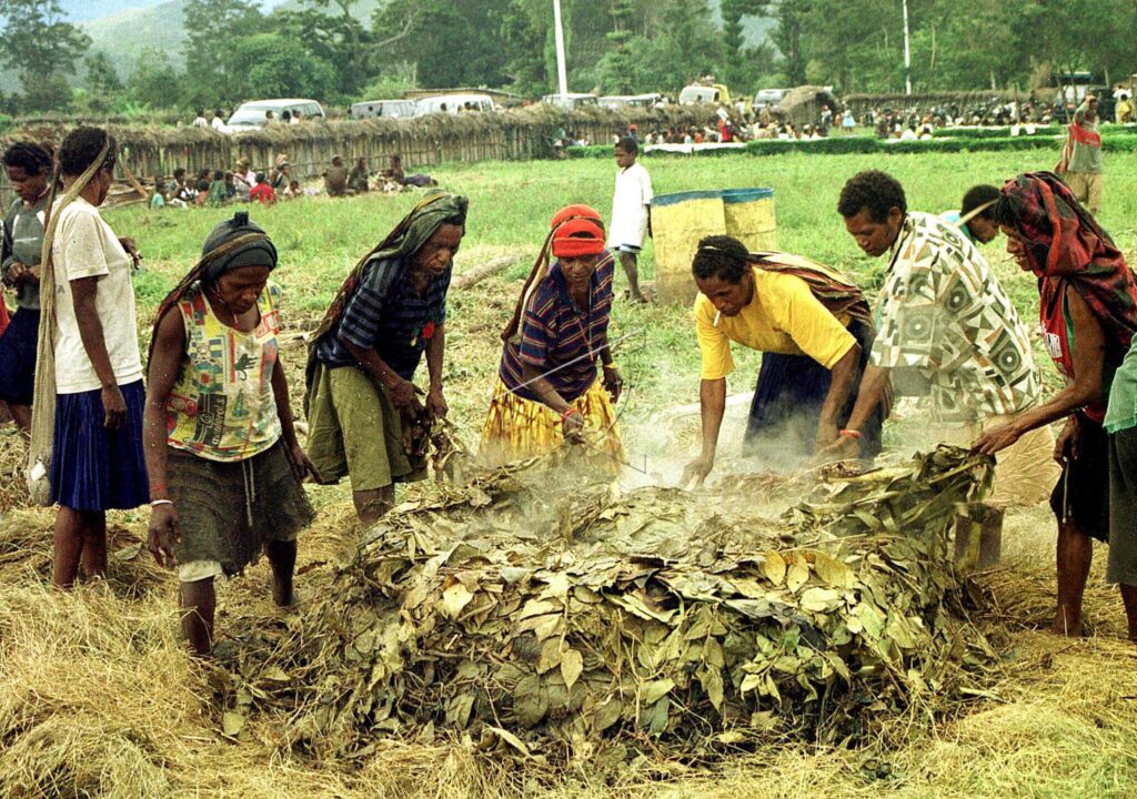 The Dani People Traditional Cook