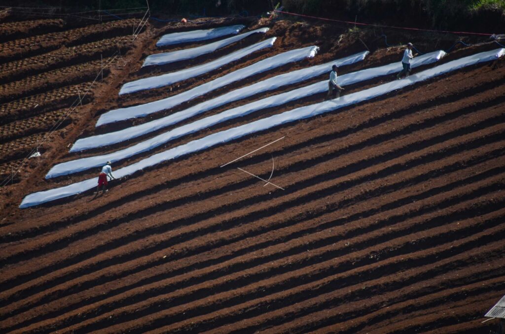 LAHAN PERTANIAN DI BANDUNG
