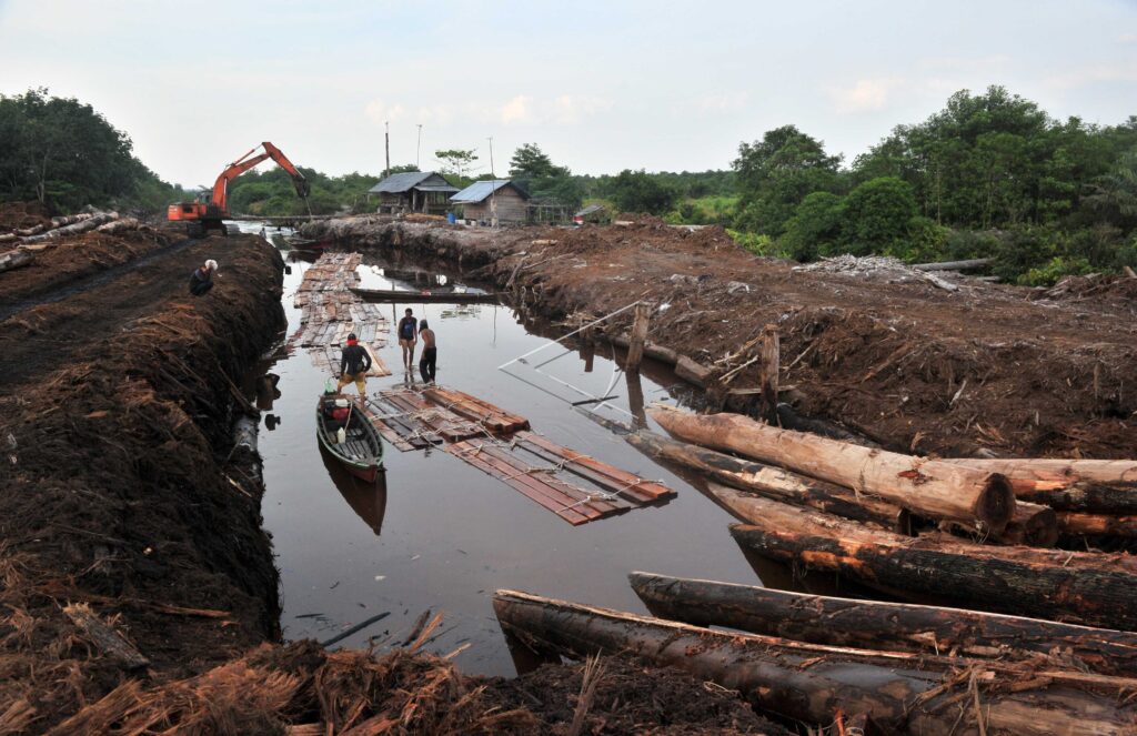 ANCAMAN PEMBALAKAN LIAR JAMBI