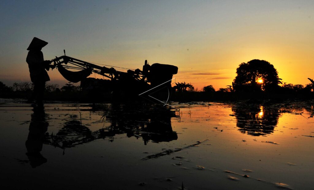 FARMER PLOWS RICE FIELD