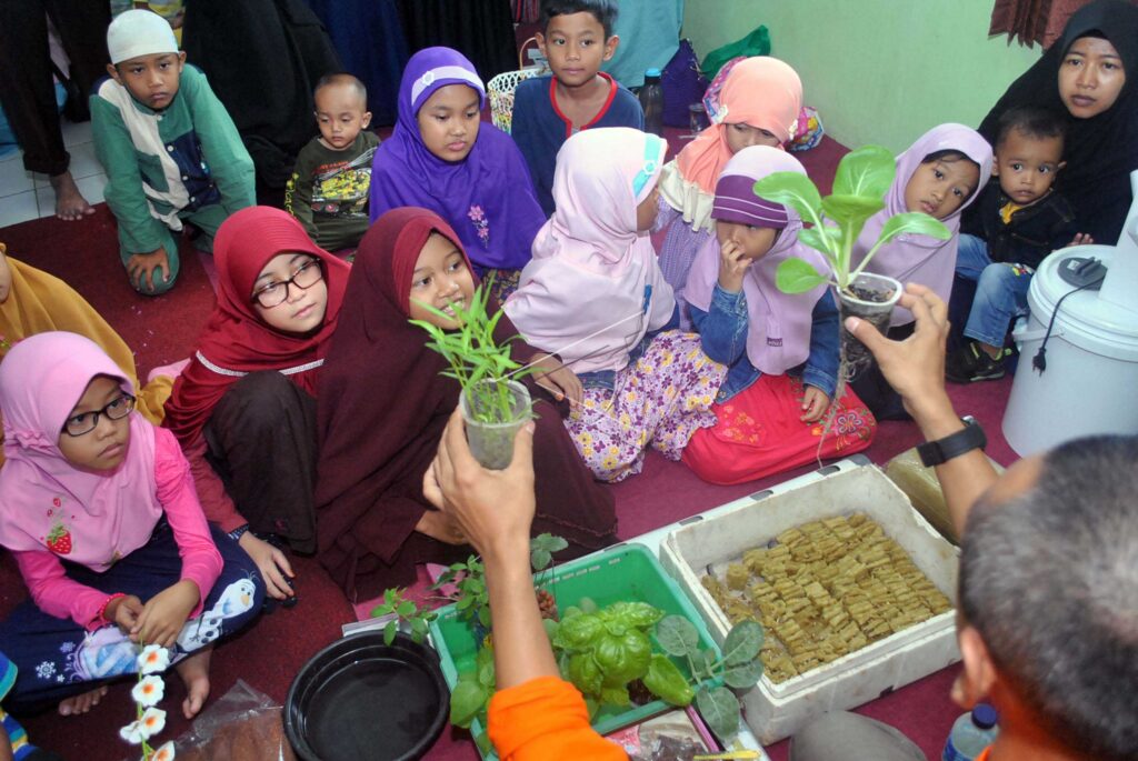 BELAJAR MENGENAL HIDROPONIK