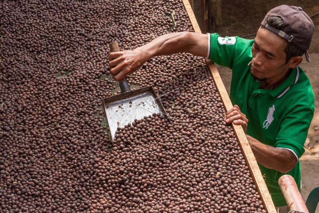 ORGANIC COFFEE BEANS