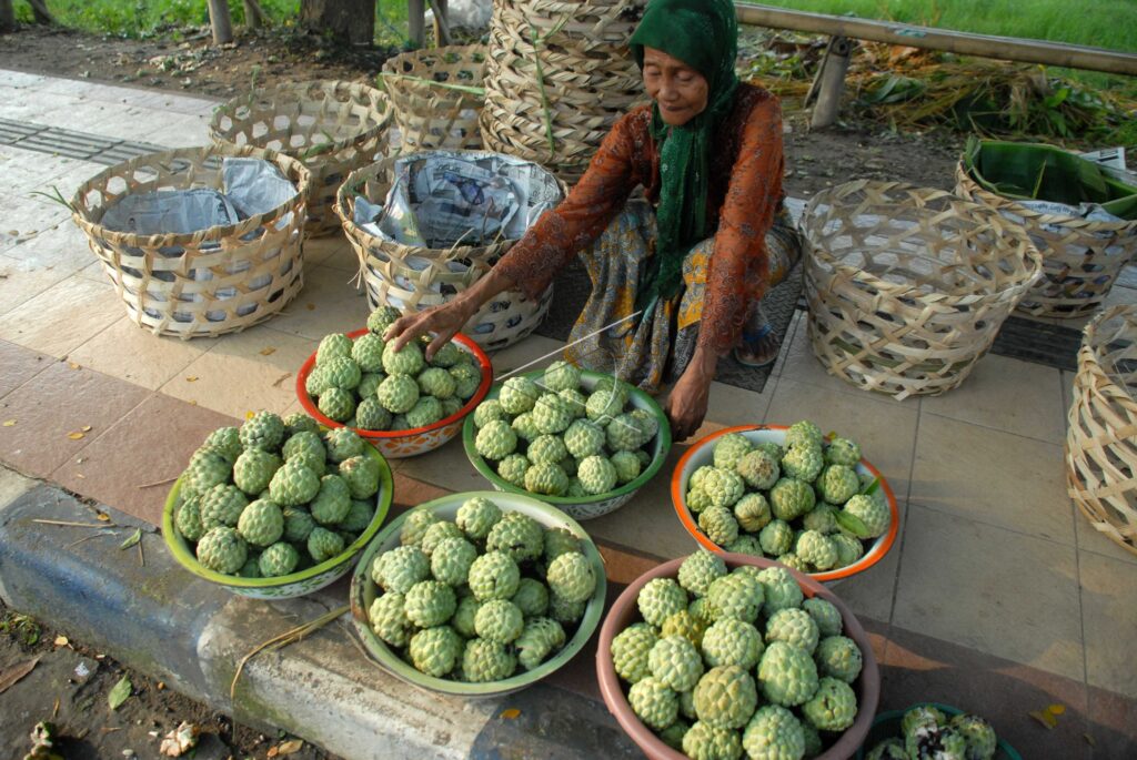 SUGAR-APPLE VENDOR