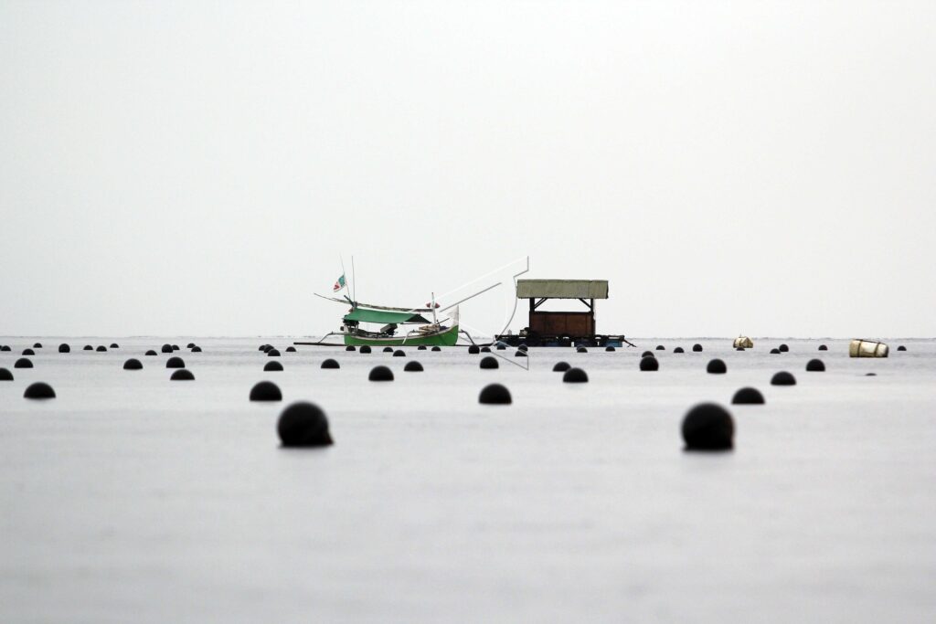 PEARL SHELL CULTIVATION