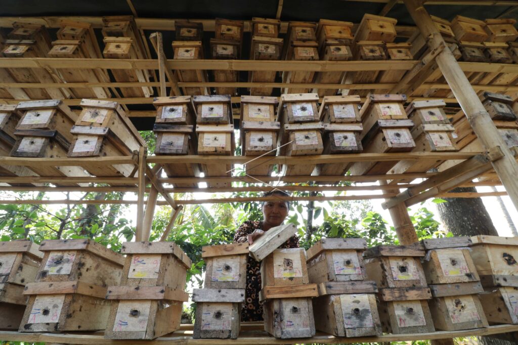 LANCENG BEE CULTIVATION FOR HONEY