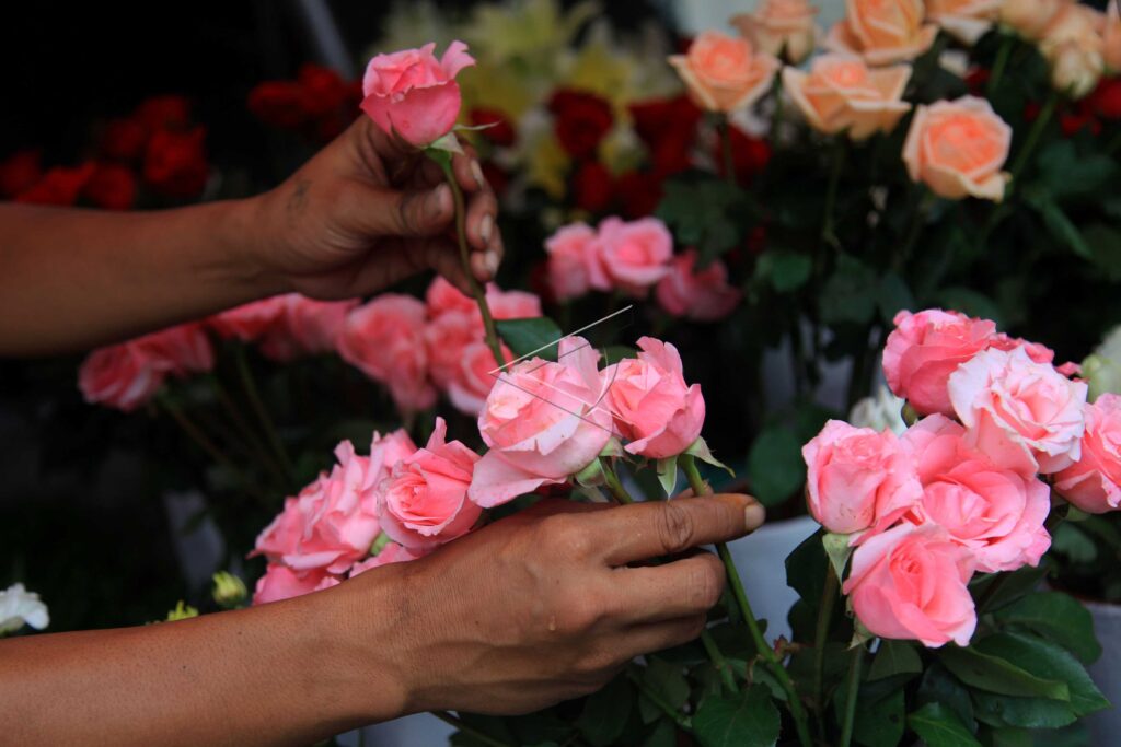 HARGA BUNGA MAWAR NAIK