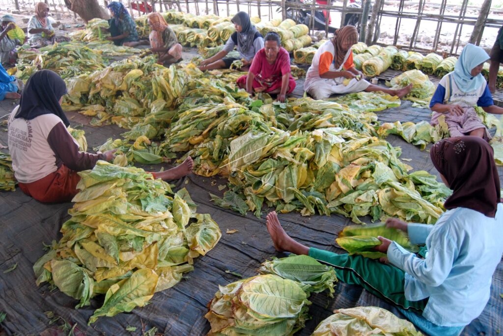 Buruh gulung tembakau