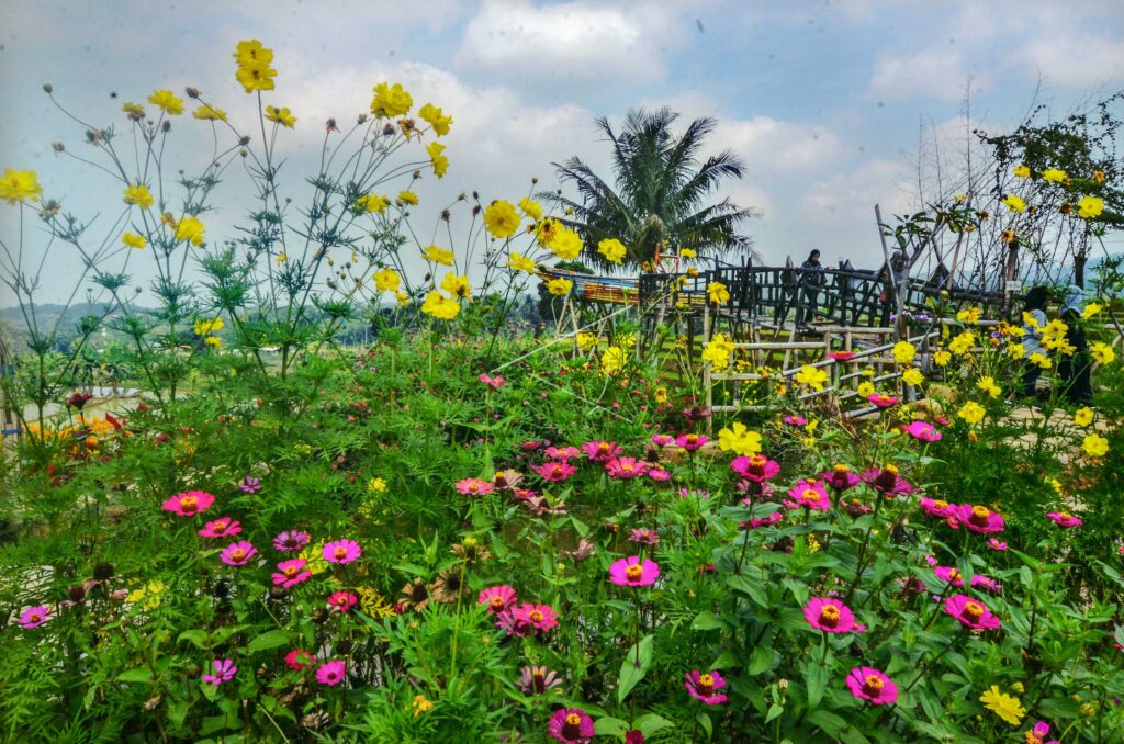KAMPOENG SAWAH ECOTOURISM PARK