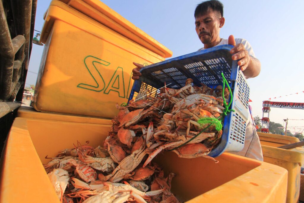 SMALL CRAB FISHERMEN