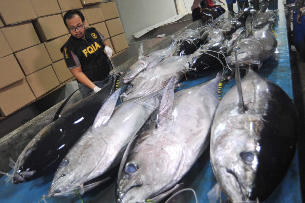 TUNA FISH