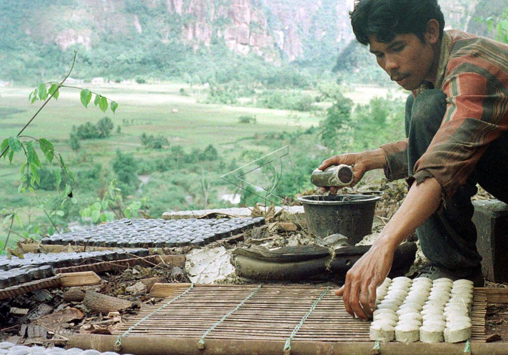 MOLDING THE GAMBIR DOUGH
