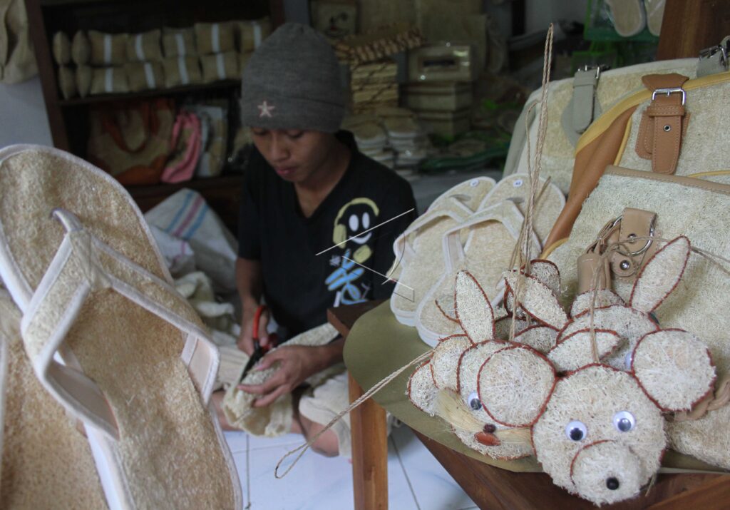 HANDICRAFT FROM LUFFA PLANTS