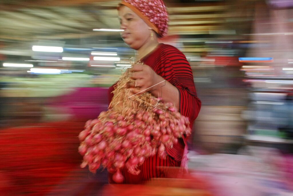 EBBS AND FLOWS OF RED ONION PRICE