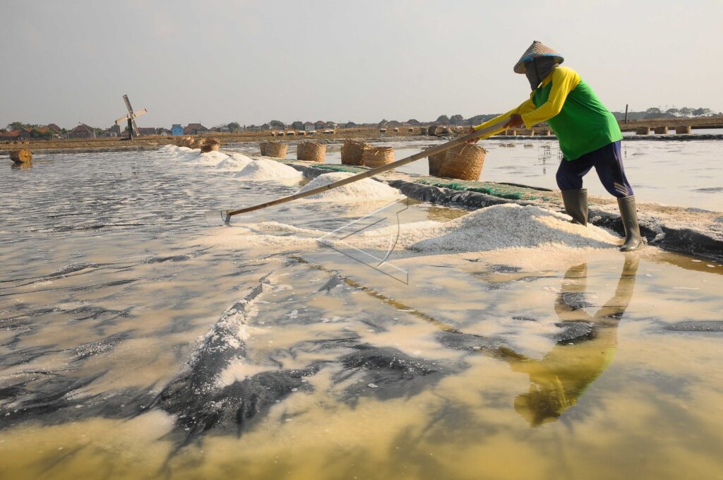 JEPARA SALT FARMERS