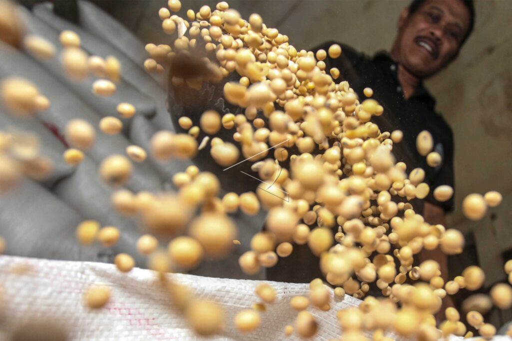 SOYBEAN PRICE POTENTIAL