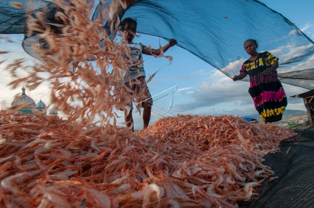 RED SHRIMP FISHERMEN