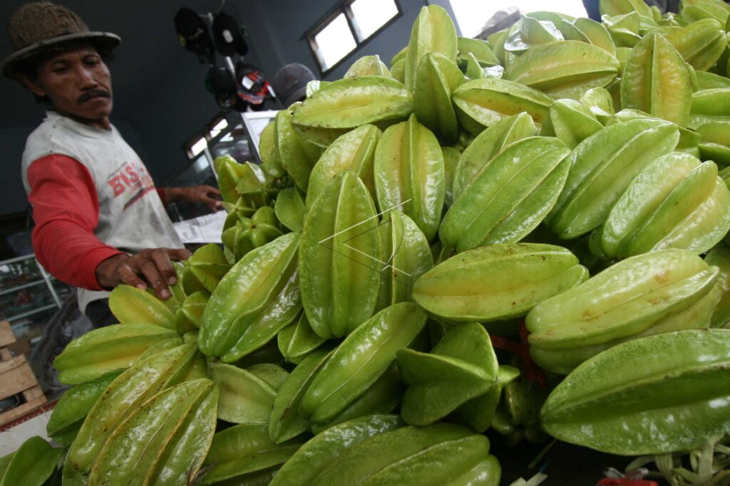 STAR FRUITS HARVEST DECREASE