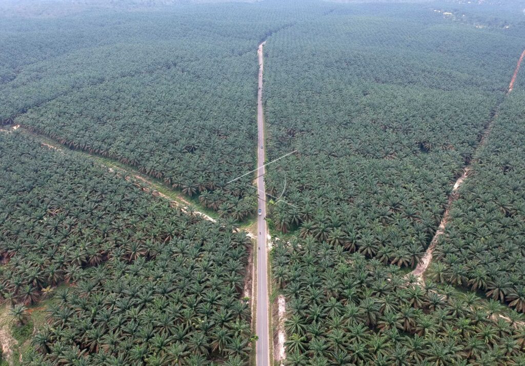 ALTERNATIVE ROUTE WEST OF JAMBI