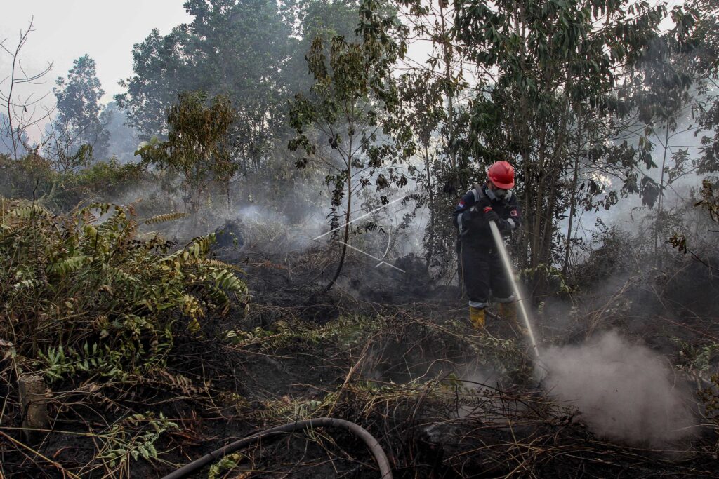 KEBAKARAN LAHAN GAMBUT DI PEKANBARU
