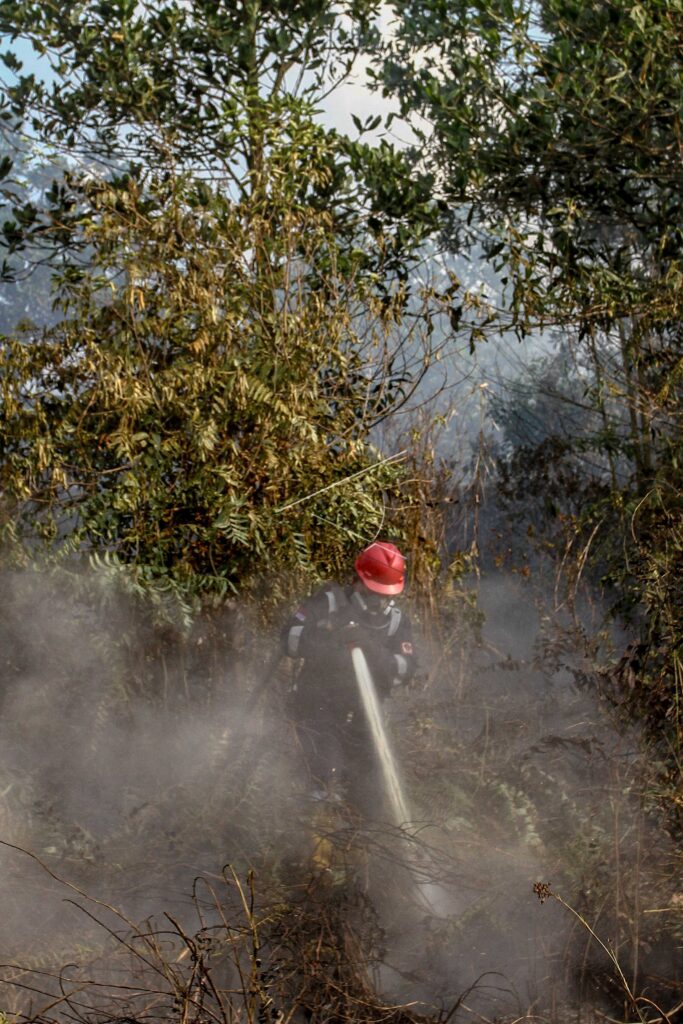 KEBAKARAN LAHAN GAMBUT DI PEKANBARU