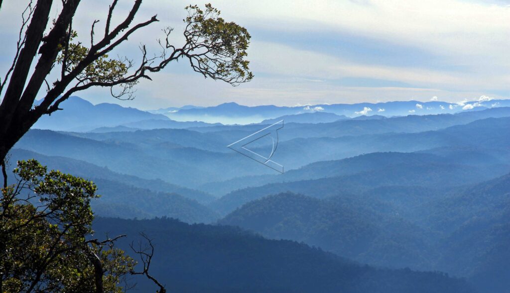 THE LEUSER ECOSYSTEM
