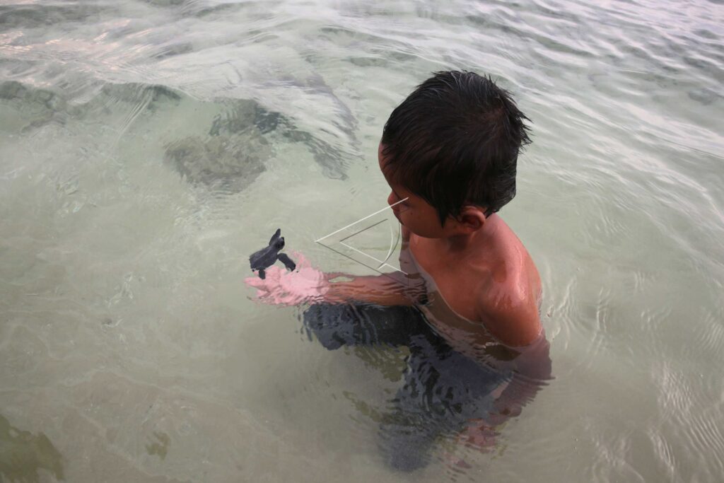 HATCHLINGS CONSERVATION