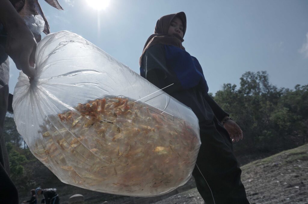 FISH CONSERVATION IN WONOREJO RESERVOIR