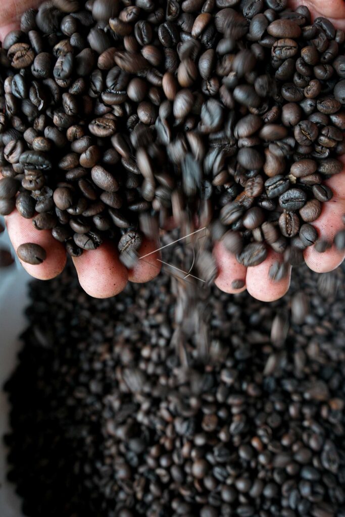 PINOGU ORGANIC COFFEE