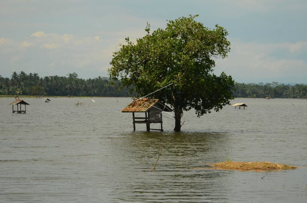 LAHAN PERTANIAN TERENDAM BANJIR