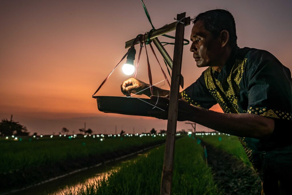 LAMPU PERANGKAP HAMA SERANGGA