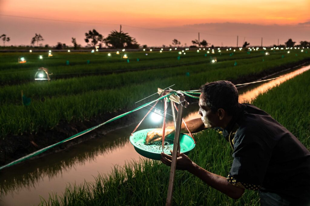LAMPU PERANGKAP HAMA SERANGGA