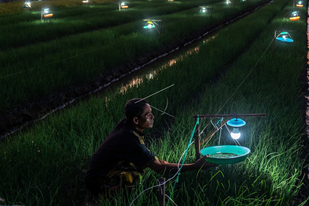 LAMPU PERANGKAP HAMA SERANGGA