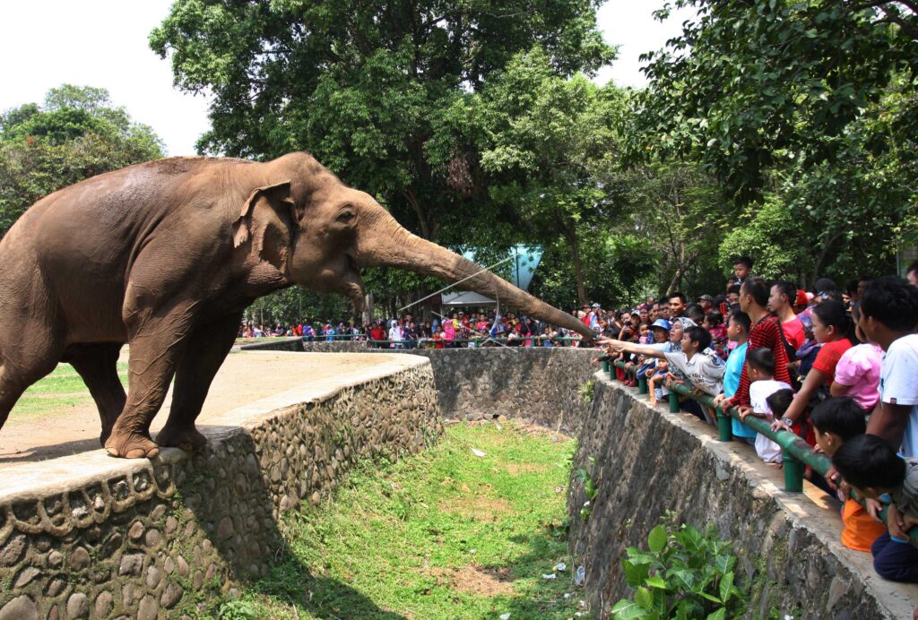 RAGUNAN ZOO