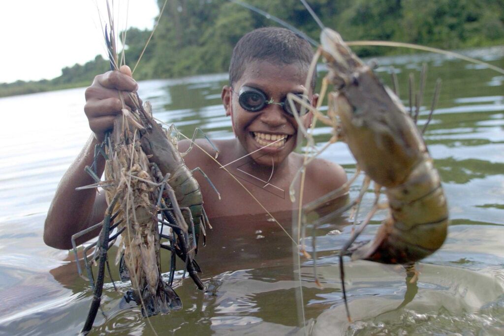 LOBSTER SHRIMP