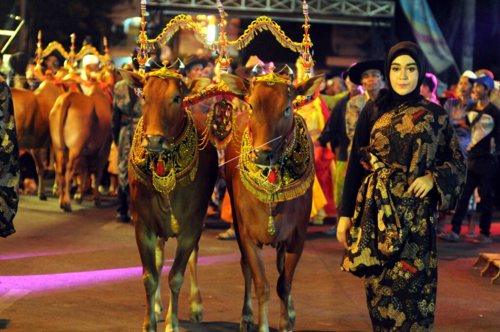 MADURA EXOTIC CARNIVAL