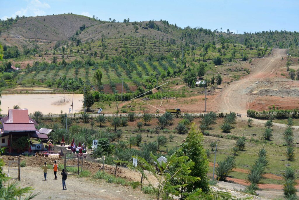MANFAATKAN LAHAN TANDUS UNTUK TANAMAN KURMA