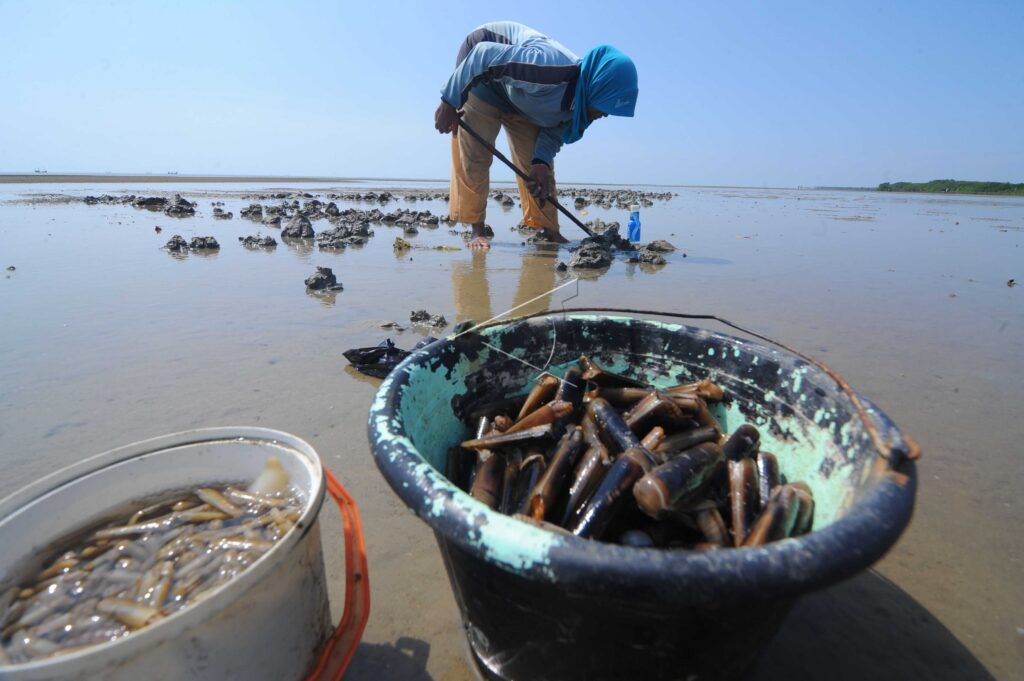 LORJUK FISHERMEN