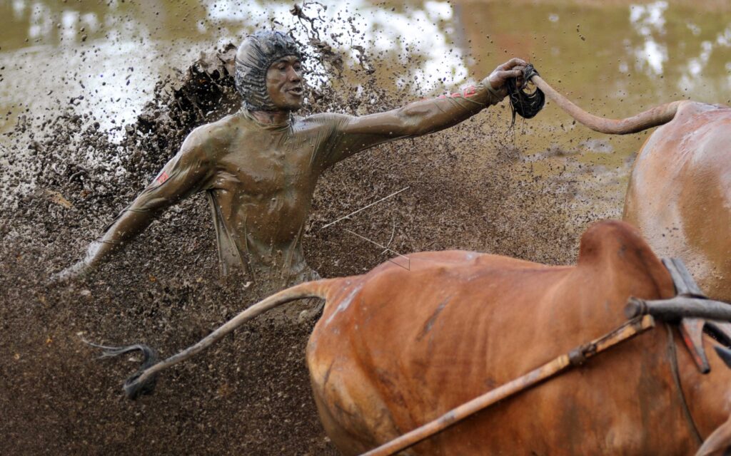 PACU JAWI AWAL TAHUN