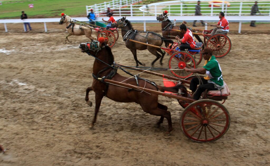 BUGIH HORSE RACE