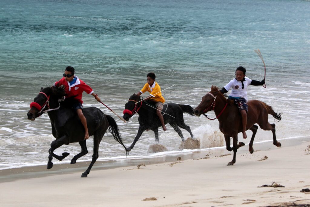 TRADITIONAL HORSE RACE