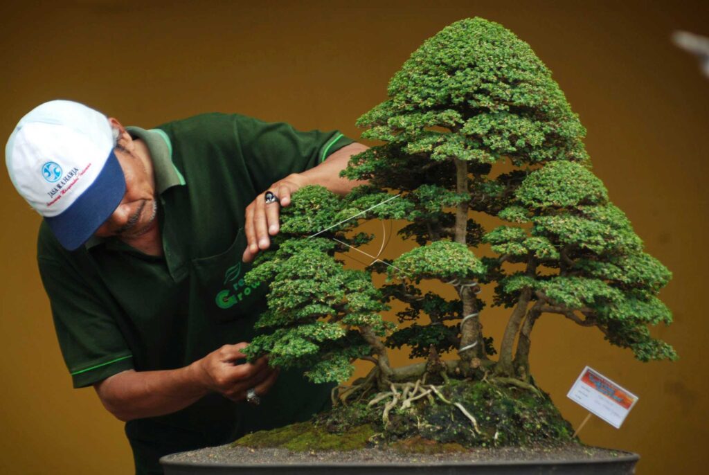 THE GREBEG SURO CELEBRATION