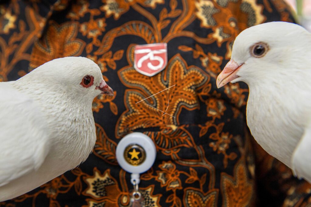 PELEPASAN BURUNG MERPATI
