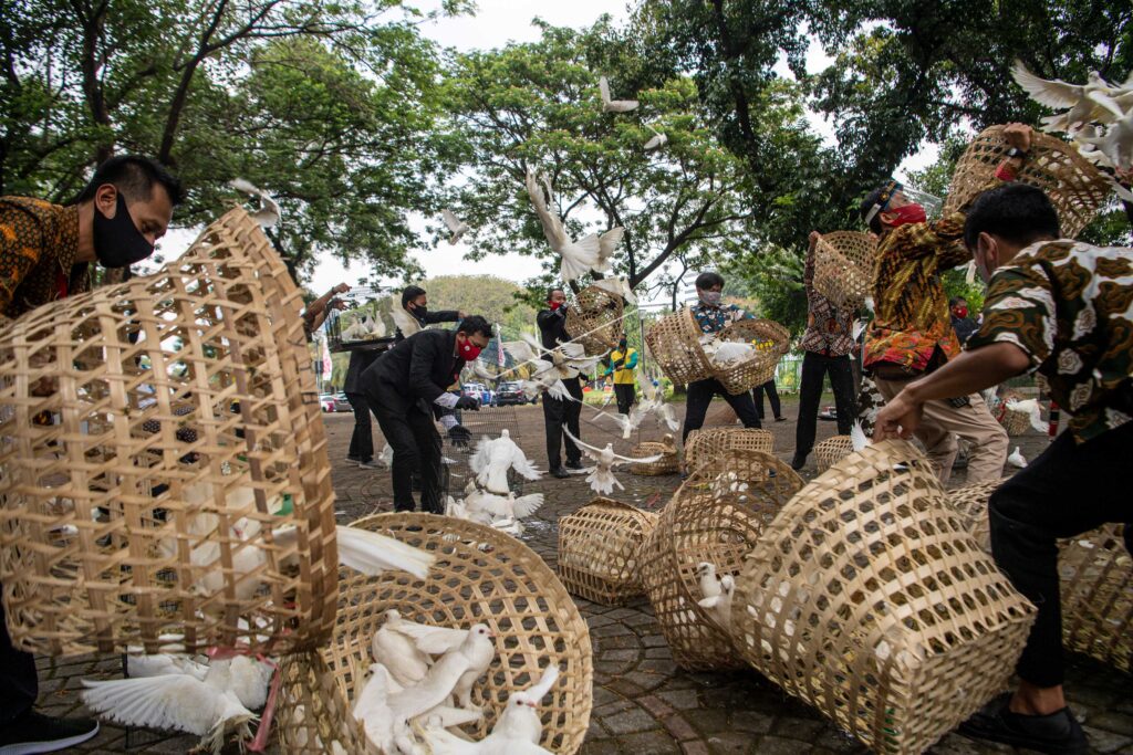 PELEPASAN BURUNG MERPATI