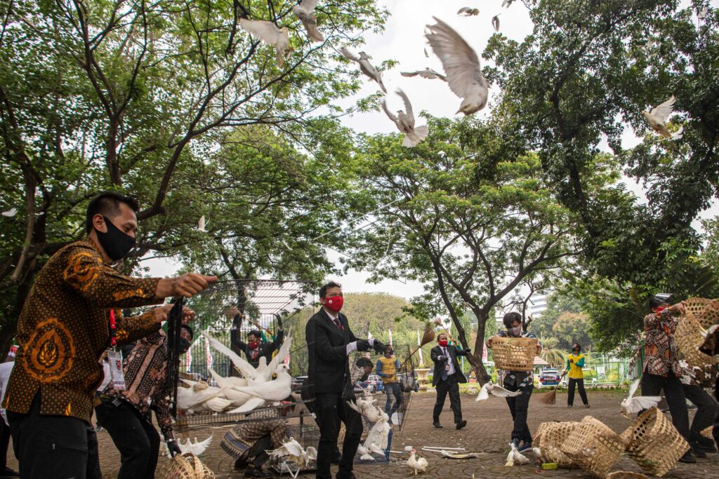 PELEPASAN BURUNG MERPATI