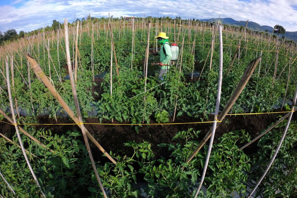 PEMBIAYAAN BIDANG PERTANIAN MENINGKAT
