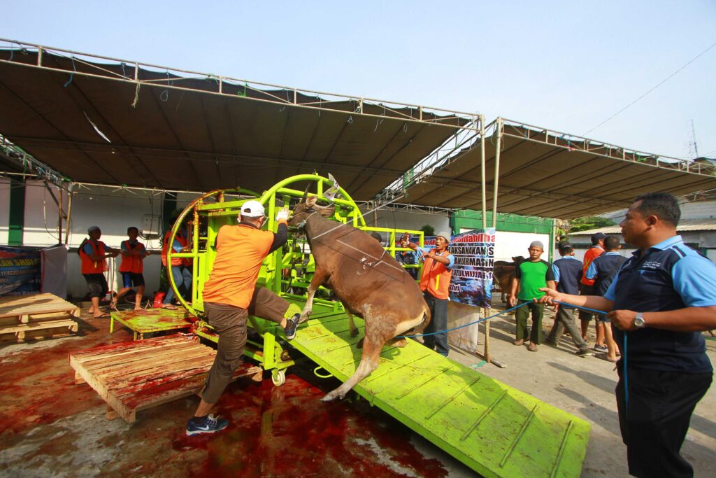 Sacrificial Animal Committee